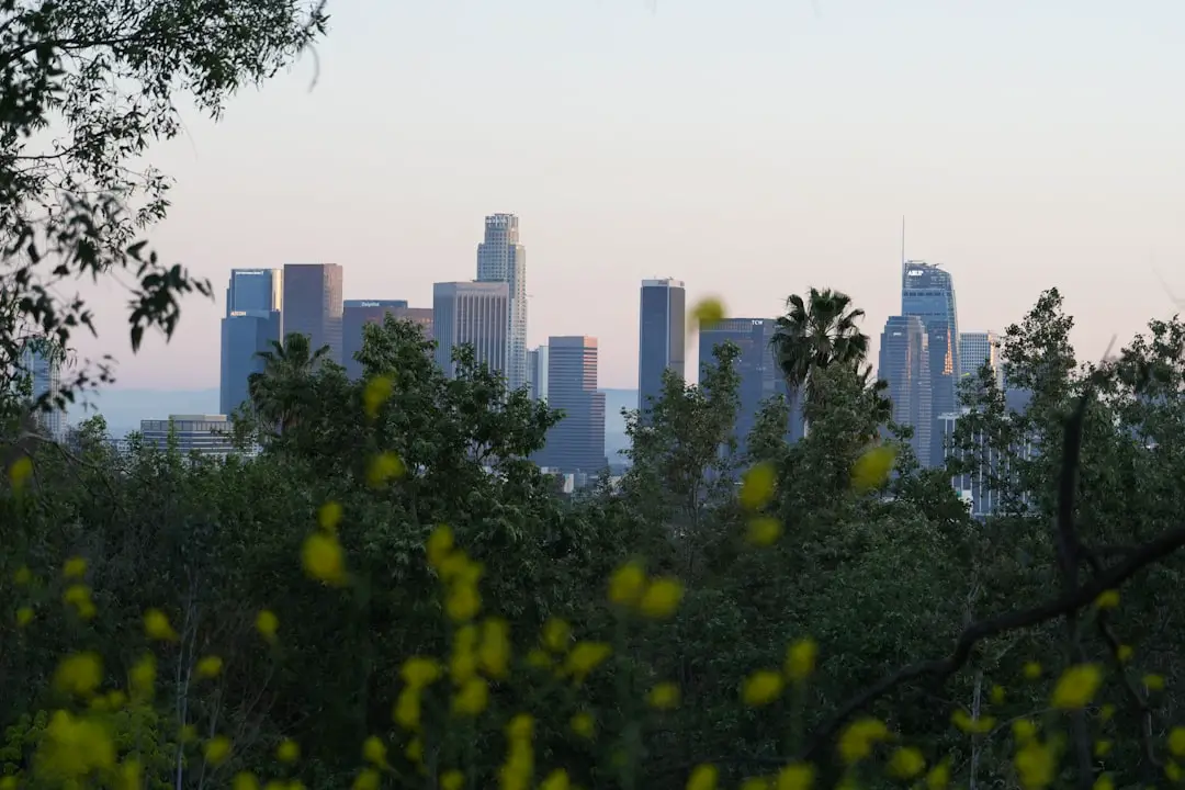 Anime Expo 2025, Los Angeles fa da sfondo ad un evento attesissimo: filtrano le prime indiscrezioni