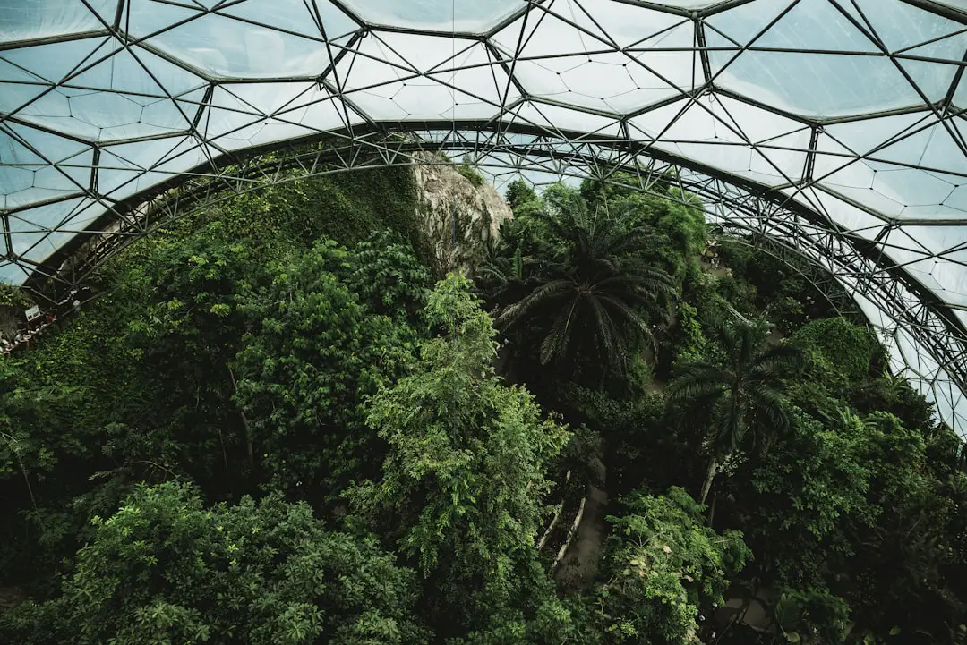 ‘A vision for culture, ecology, technology’ – The Ecologist