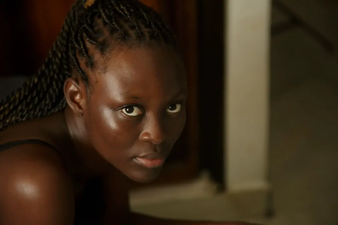 I learned about slavery from Hollywood. Why is French cinema so slow to depict our own colonial crimes? – The Guardian