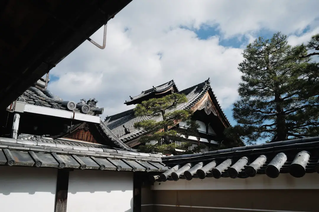 Terremoto in Giappone nel giorno della profezia manga: negato ogni legame, ma il dubbio resta