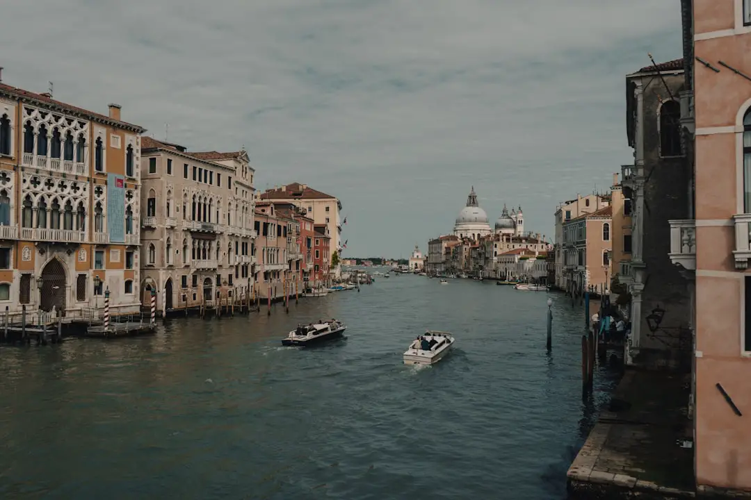 Un Mare di Cinema — Italiano
