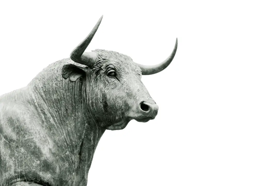 Should You Buy Palantir Technology Stock Before Aug. 4? – The Motley Fool