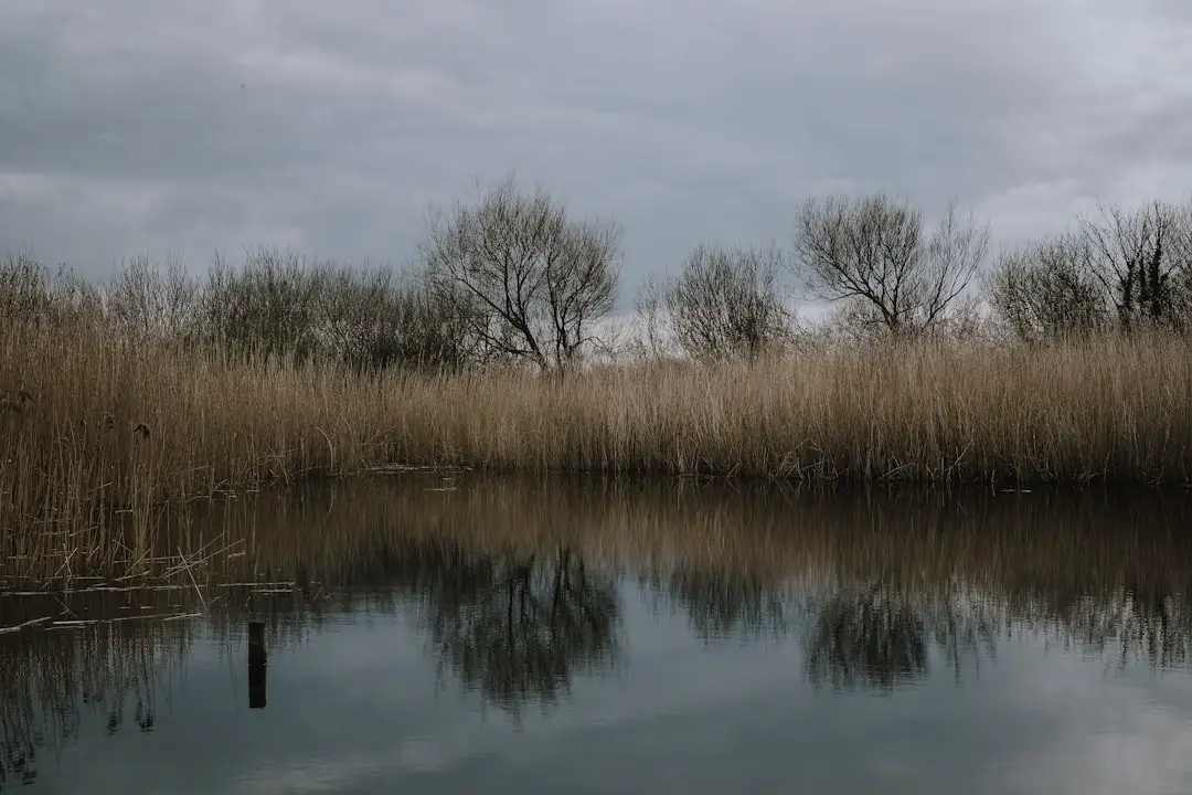 “Anonimul”, cinema e natura nel cuore del Delta del Danubio / Romania / aree / Home