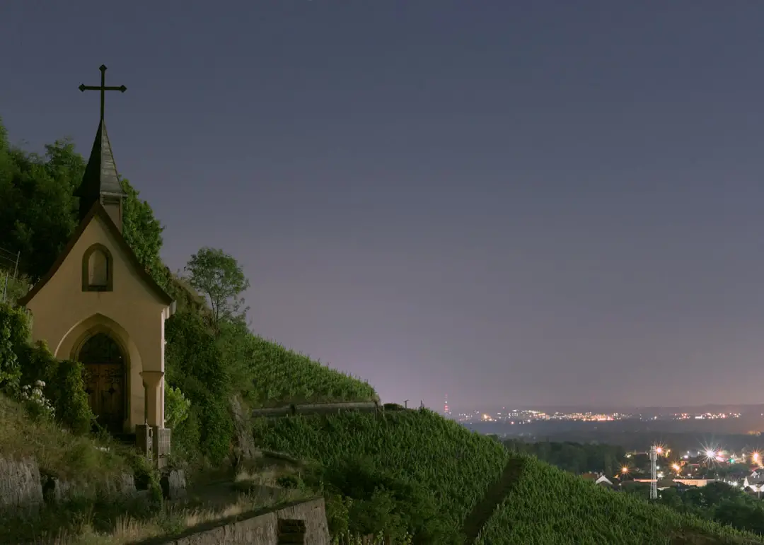 Visioni sotto le stelle ad Assisi. Torna il “Cinema alla Rocca“. Film al Giardino degli Incanti