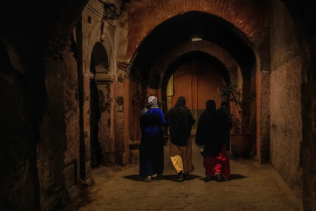 Cinema sotto le stelle nel cuore di Alessandria: film gratis per le famiglie ad agosto