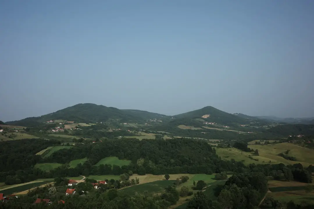 VERGAROLLA