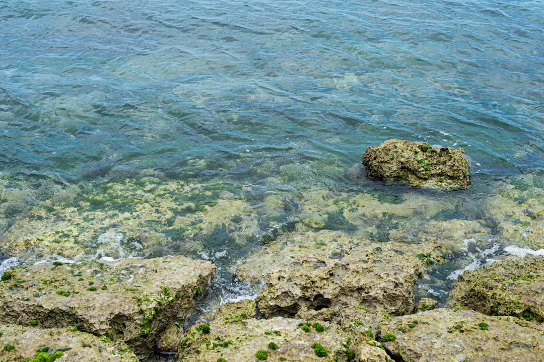 Ribalta Marea. Omaggio a Lucchi con ’Anime fragili’