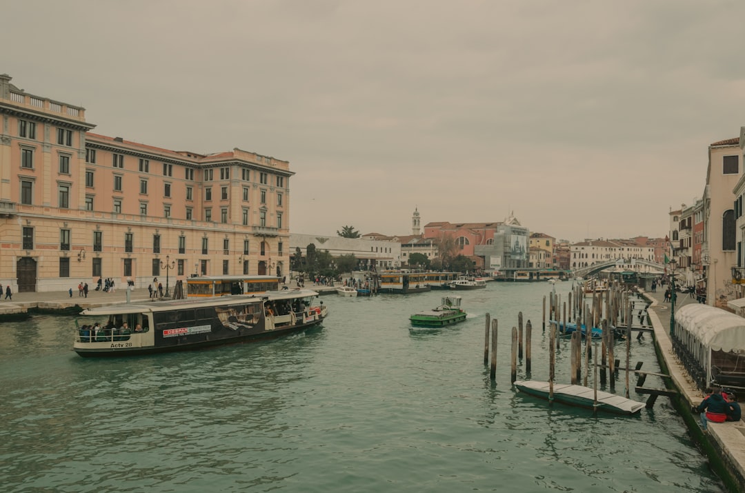 Mostra del Cinema di Venezia 2025, quando inizia e cosa sapere