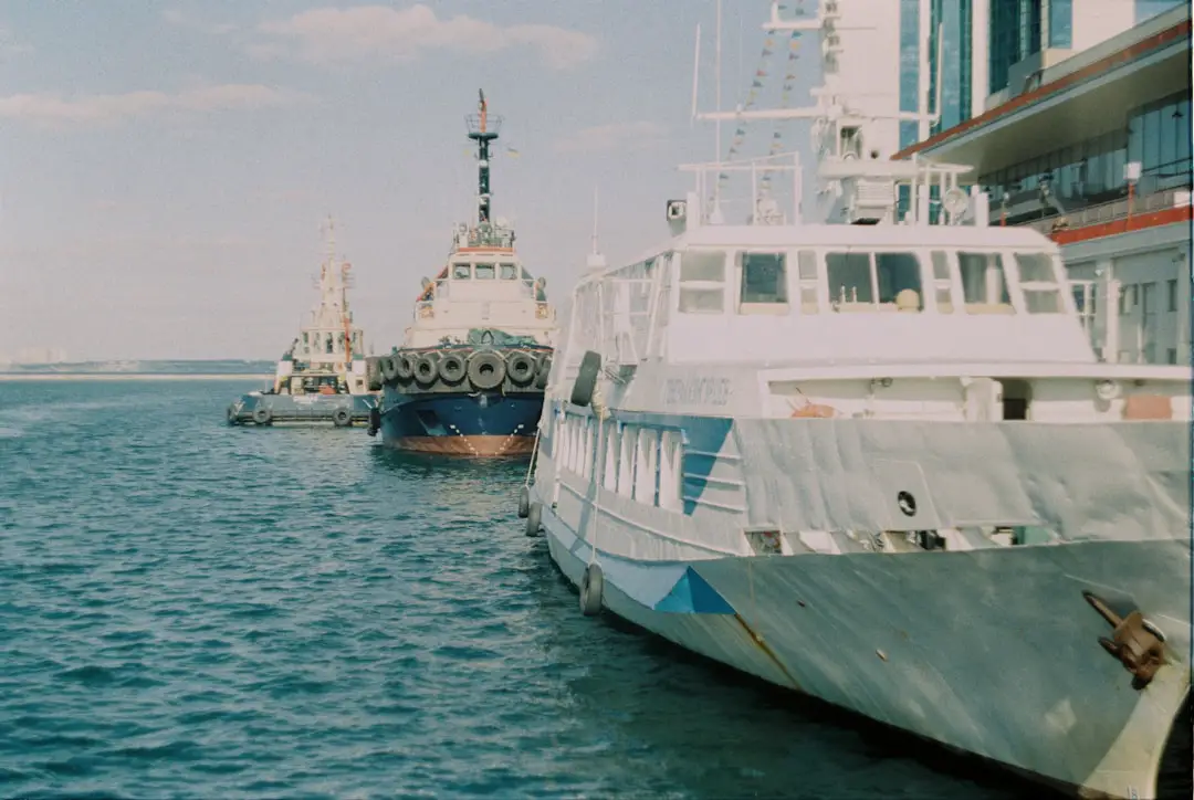 Festa del Cinema di Mare, al via la X edizione diretta da Giovanni Veronesi. Il programma