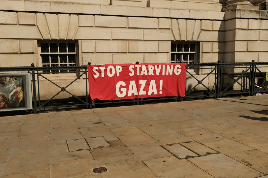 Pochi giorni alla Mostra, lettera-appello del cinema: «Condannare genocidio a Gaza»