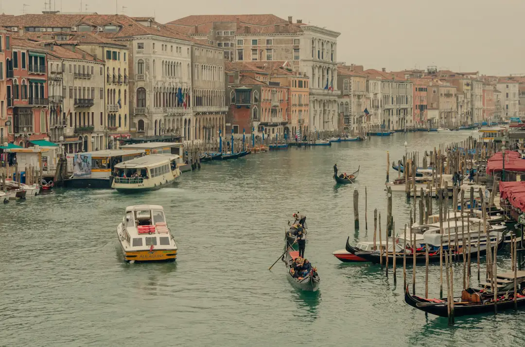 Venezia, al via l’edizione 2025 di Cinema Galleggiante