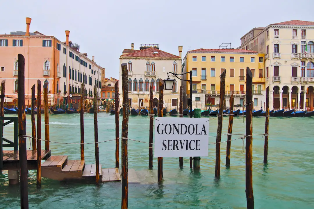 Venezia come Hollywood, oggi Julia Roberts per Luca Guadagnino. Ieri Emma Stone e George Clooney