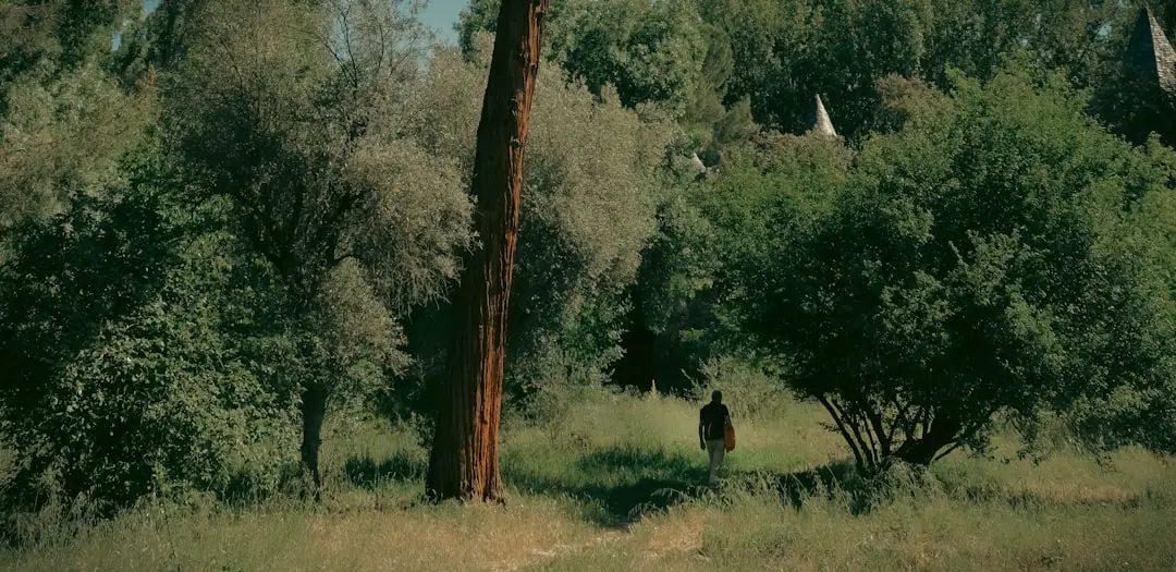 After the Hunt, tutto sul film di Luca Guadagnino con Julia Roberts