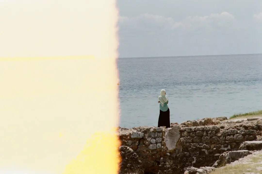 Mostra del Cinema di Venezia: i vincitori, i premi e il red carpet. Servillo: “Ammirazione per coloro che hanno deciso di mettersi in mare per la Palestina”