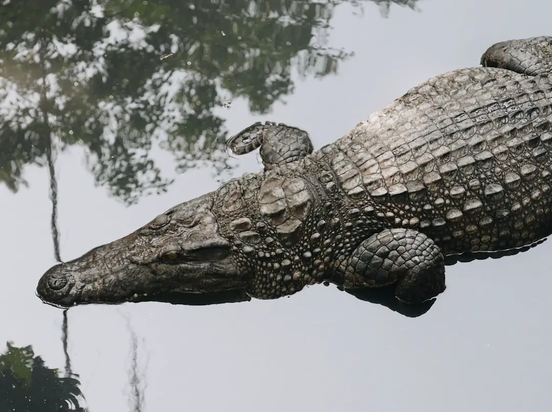 Il coccodrillo preistorico che divorava i dinosauri