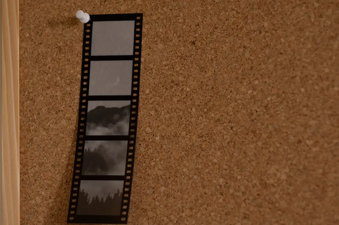 OpenAI scommette sul cinema e lavora a Critterz, un film d’animazione AI
