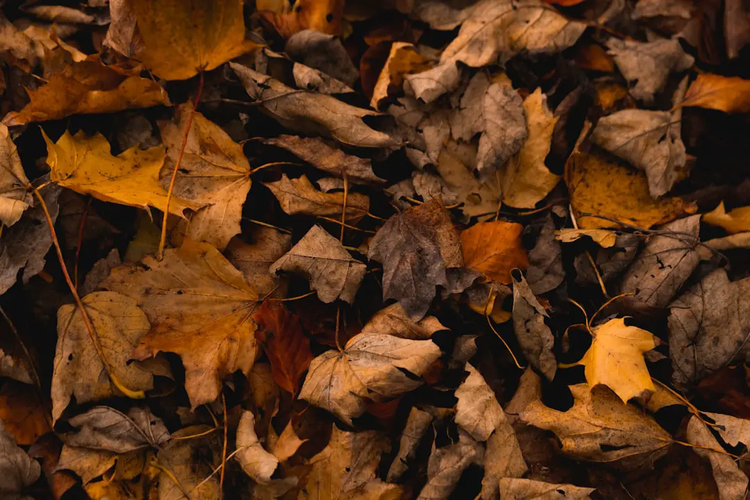 L’autunno al cinema: un mix di novità e ritorni