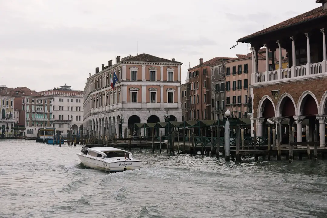Venezia, un protestante alla Mostra del Cinema