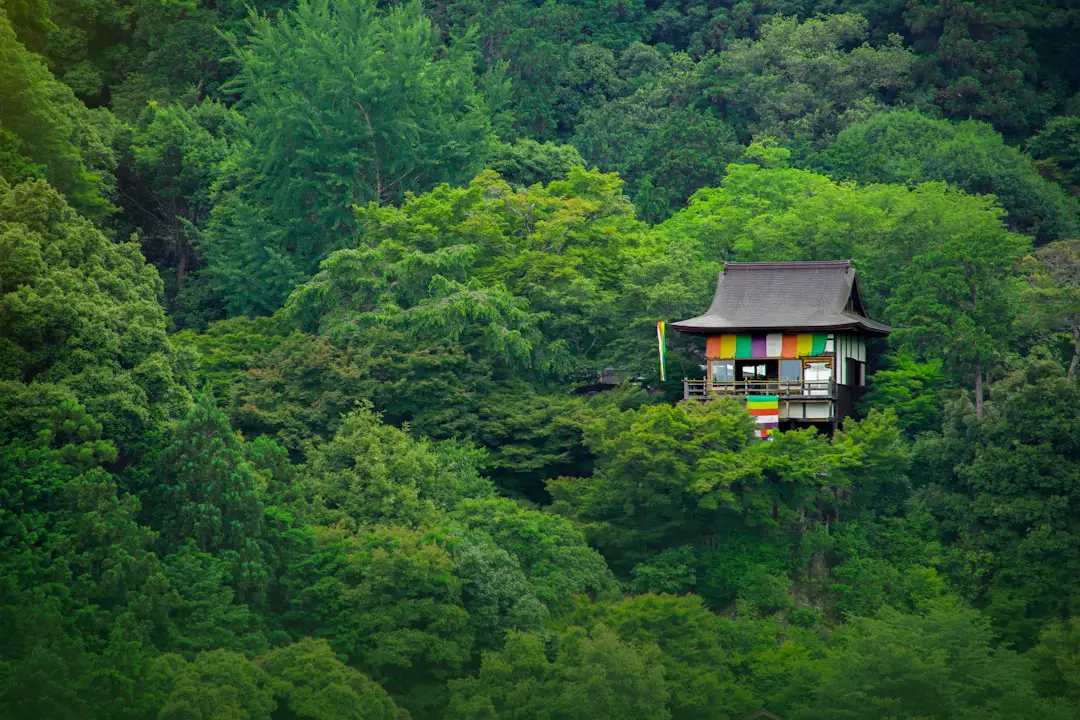 La storia di una casa immaginaria dove natura, tecnologia e design convivono in armonia