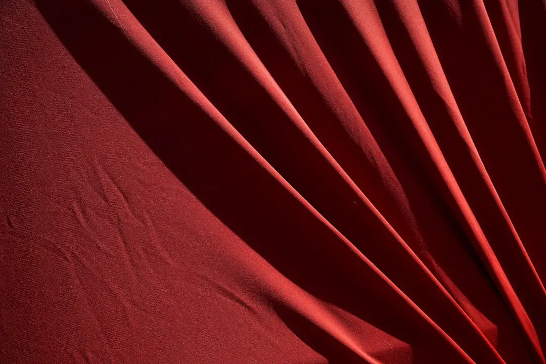 Day 10 | I red carpet di venerdì 24