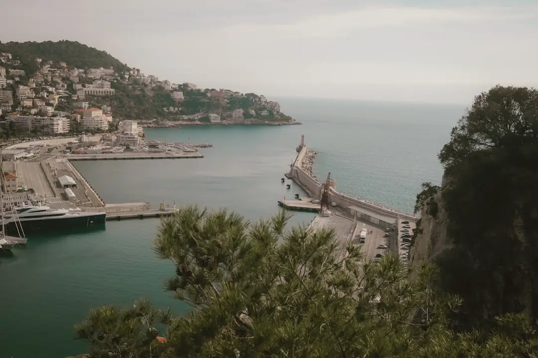 Il senso del mare di Ancona nel cinema e nella letteratura: ne parla Luccarini